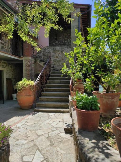 Petreto Il Giardino Dei Limoni Apartman Castiglion Fiorentino Kültér fotó