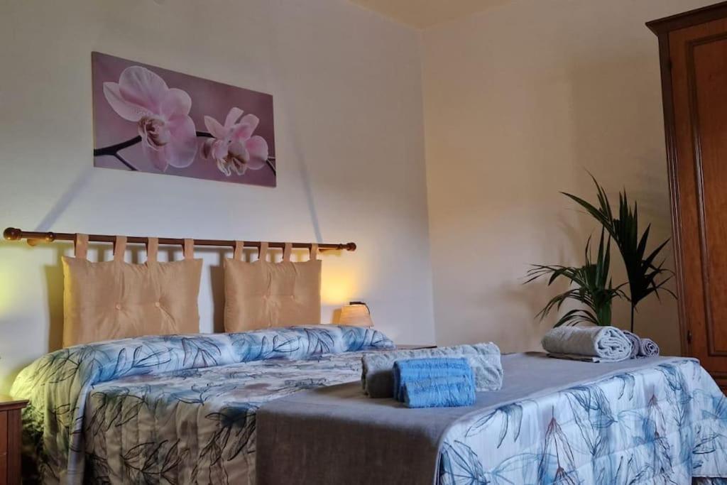 Petreto Il Giardino Dei Limoni Apartman Castiglion Fiorentino Kültér fotó