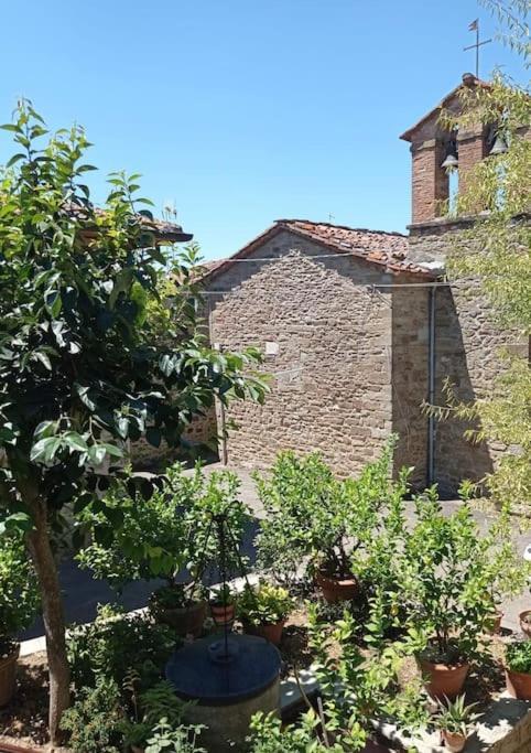 Petreto Il Giardino Dei Limoni Apartman Castiglion Fiorentino Kültér fotó