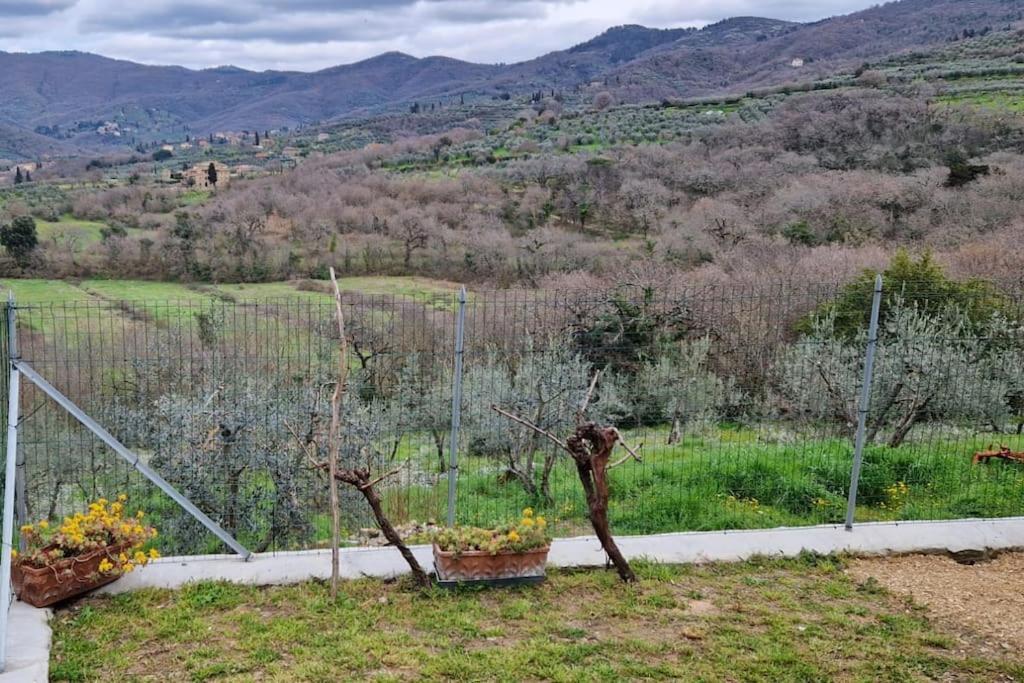 Petreto Il Giardino Dei Limoni Apartman Castiglion Fiorentino Kültér fotó