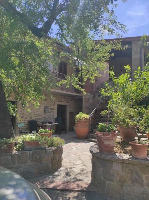 Petreto Il Giardino Dei Limoni Apartman Castiglion Fiorentino Kültér fotó